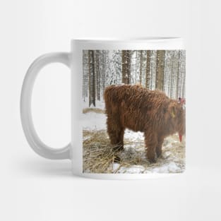 Scottish Highland Cattle Calf 1630 Mug